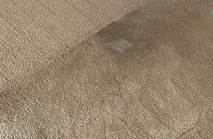 Black stain on carpet.