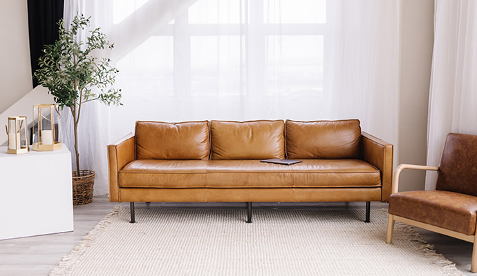 Modern brown leather sofa in a bright living room with rug and plant