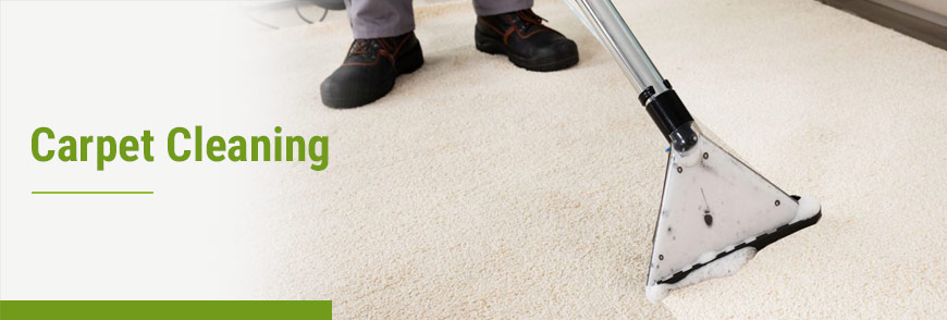 Professional worker cleaning carpet