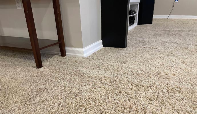 Clean carpet on floor