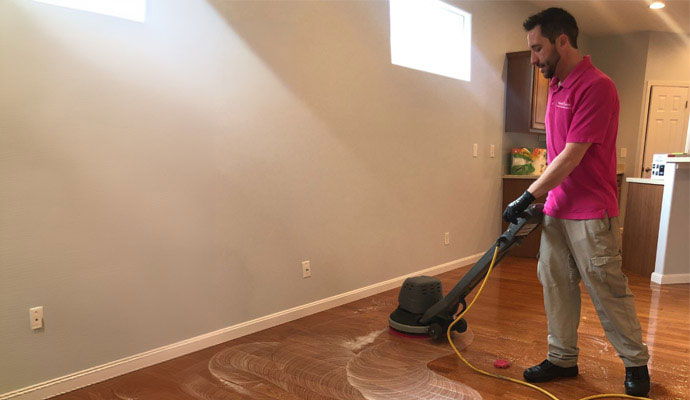 Expert cleaning the floor