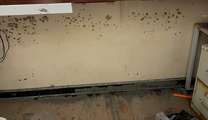Moldy wall and ceiling