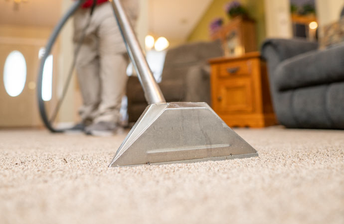 Pet odor removal from the carpet