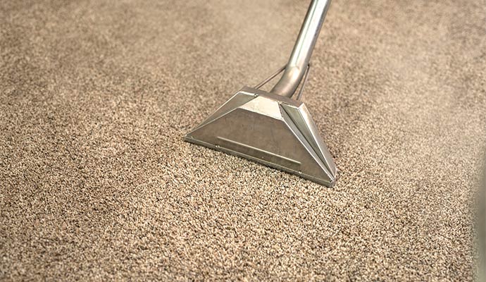 Professional carpet steam cleaning service