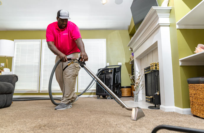 Professional worker cleaning carpet