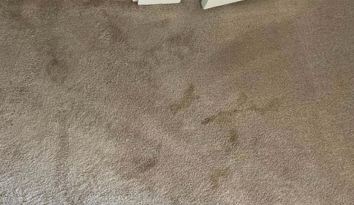 Ripped carpet