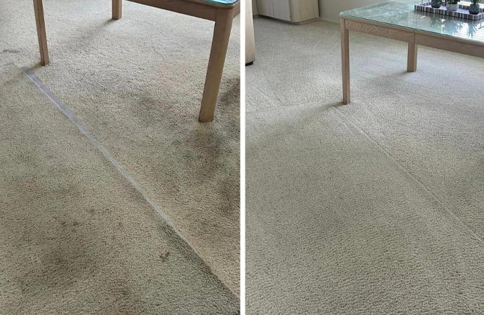 a carpet discoloration repair service.