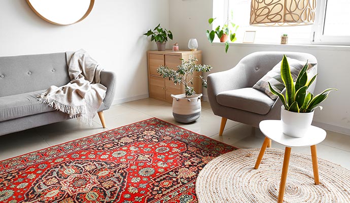 Clean rug in the living room
