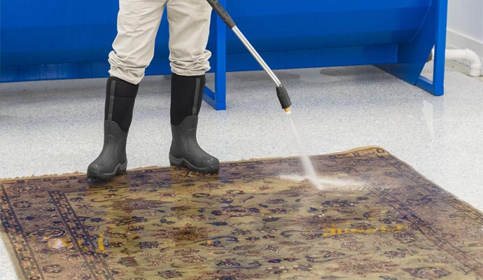 rug cleaning professionally
