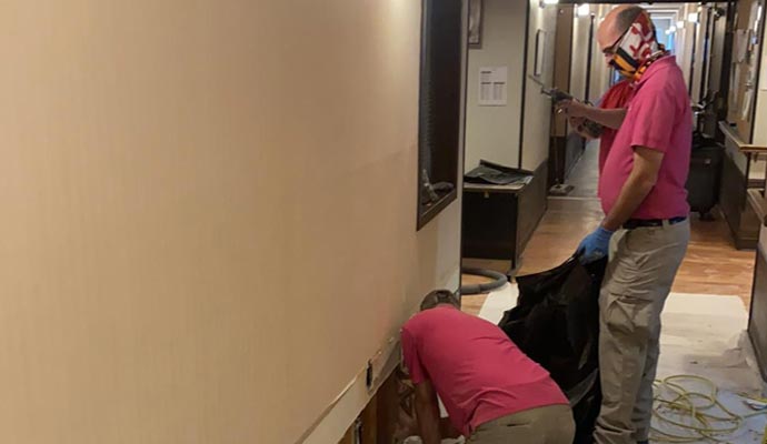 Commercial cleaning by experts