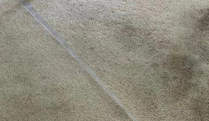 Discolored streak and stained patch on beige carpet