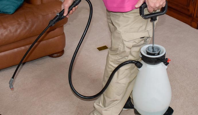 Disinfecting service