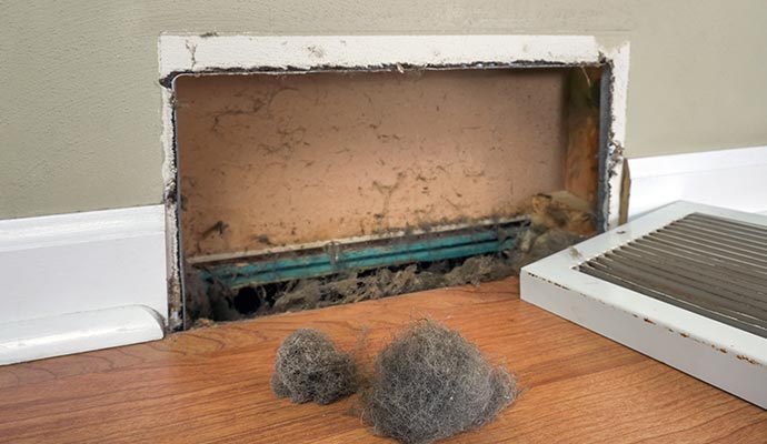 An open dirty air vent with clumps of duct and pet dander