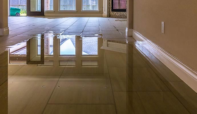 Flooded living room with standing water