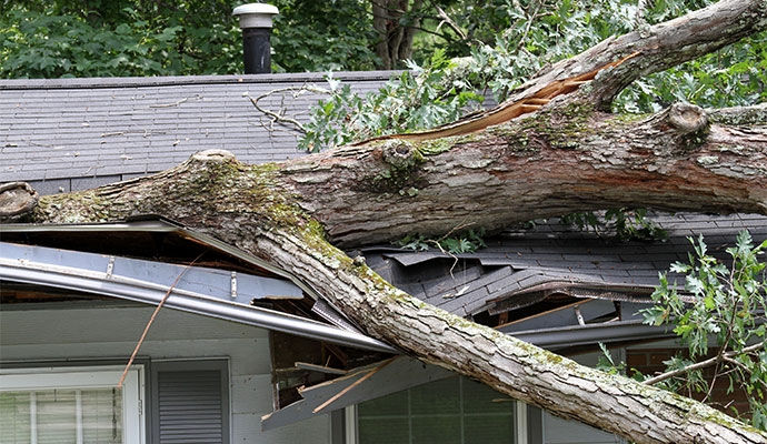 Large fallen tree on residential house roof after storm