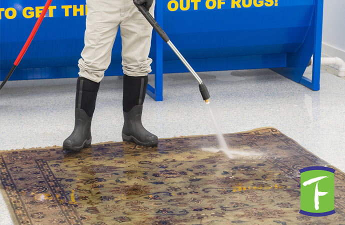 mold and mildew damage on carpet, requiring restoration and cleaning services.