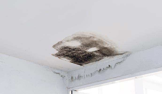 Mold damaged ceiling