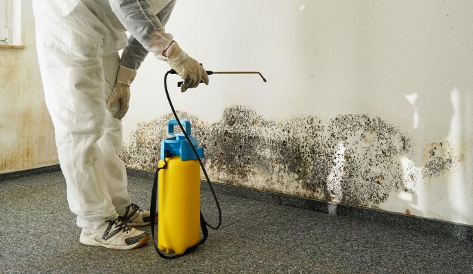 Mold remediation with equipment
