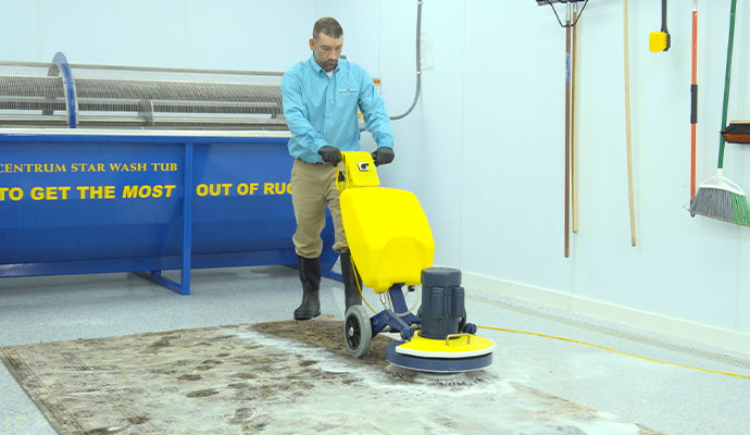 Professional area rug cleaning service