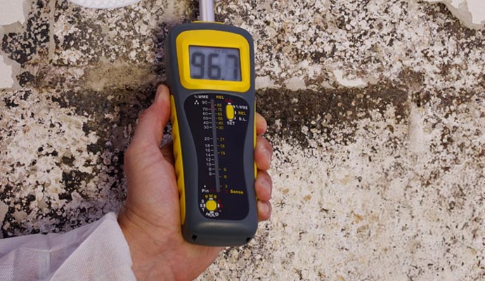 Professional mold inspection