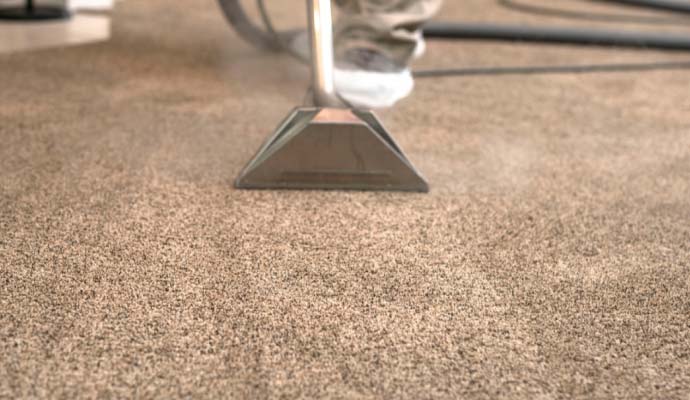 Carpet Odor Removal Cleaning
