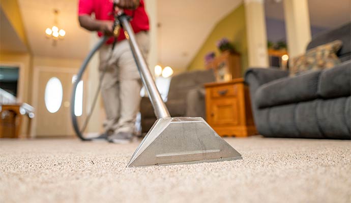 Professional carpet steam cleaning service