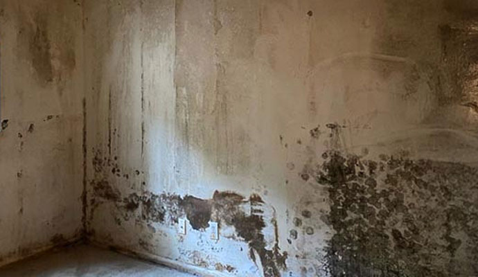 Severe mold growth and water damage on indoor wall