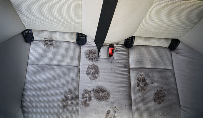 Beige fabric car rear seat covered in muddy dog paw prints