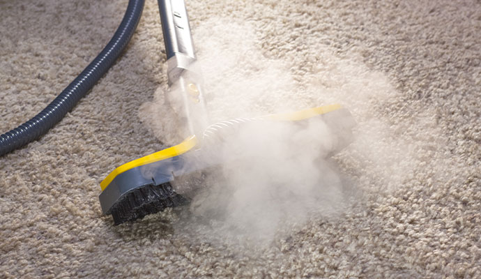 Steam Cleaning Service