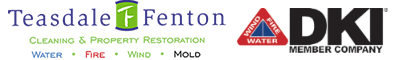 Teasdale Fenton Dayton Small Logo