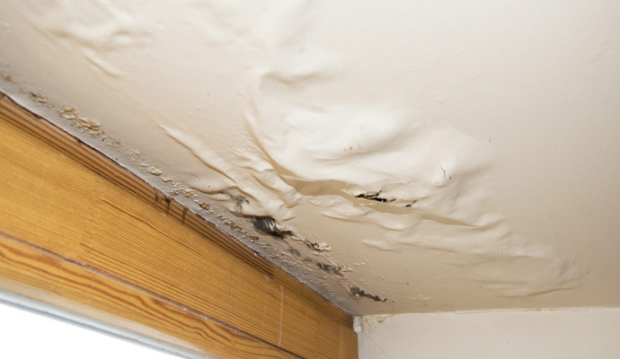 Water Damage